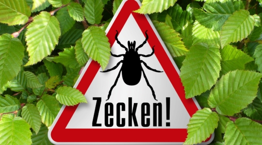 Ist eine Zeckenimpfung bei Kindern sinnvoll?