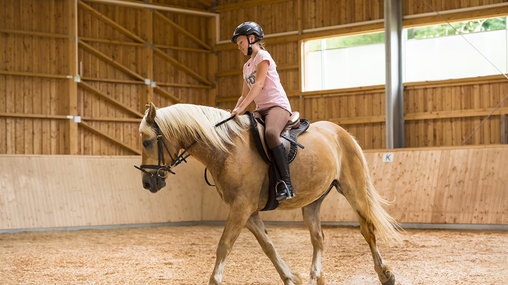 Reiterurlaub für Kinder im Schreinerhof Reiterurlaub für Kinder im Schreinerhof