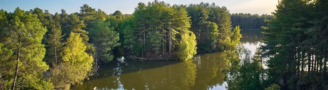 Center Parcs Les Hauts de Bruyères