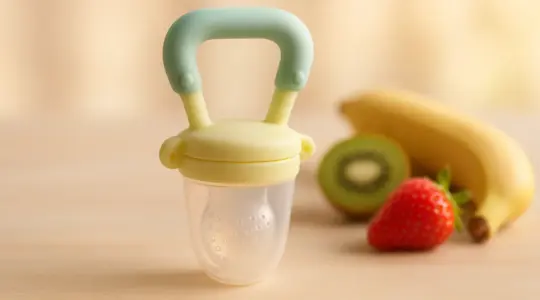 Fruchtsauger fürs Baby