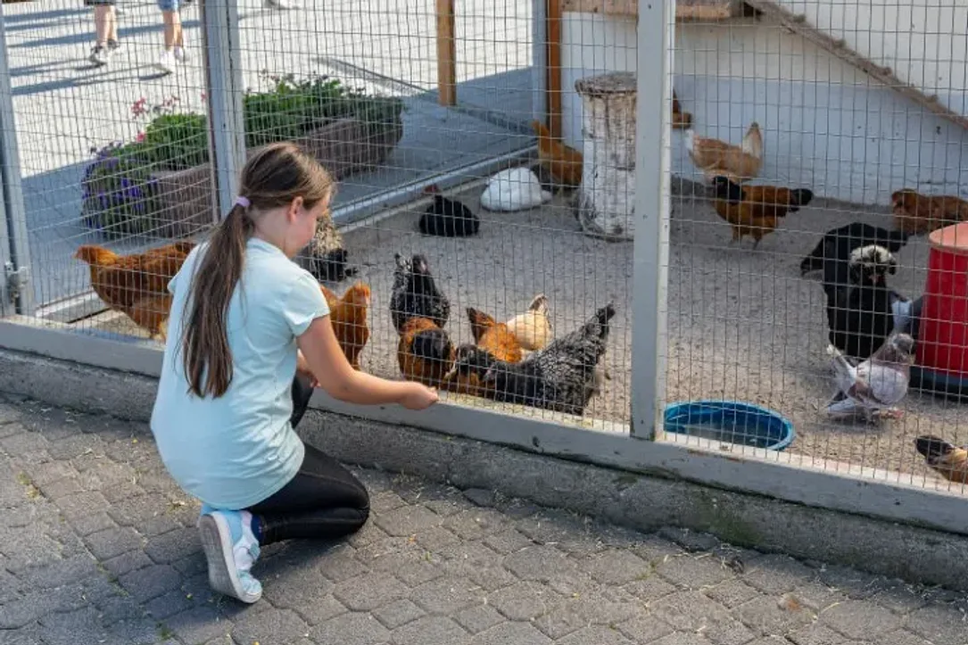 Tiere und Stallbesichtigungen im Freizeitpark Lochmühle