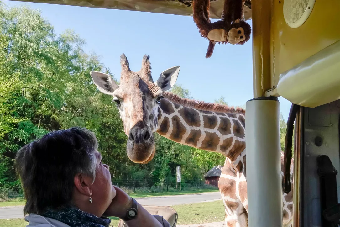 VIP-Jeep-Tour durch den Serengeti-Park