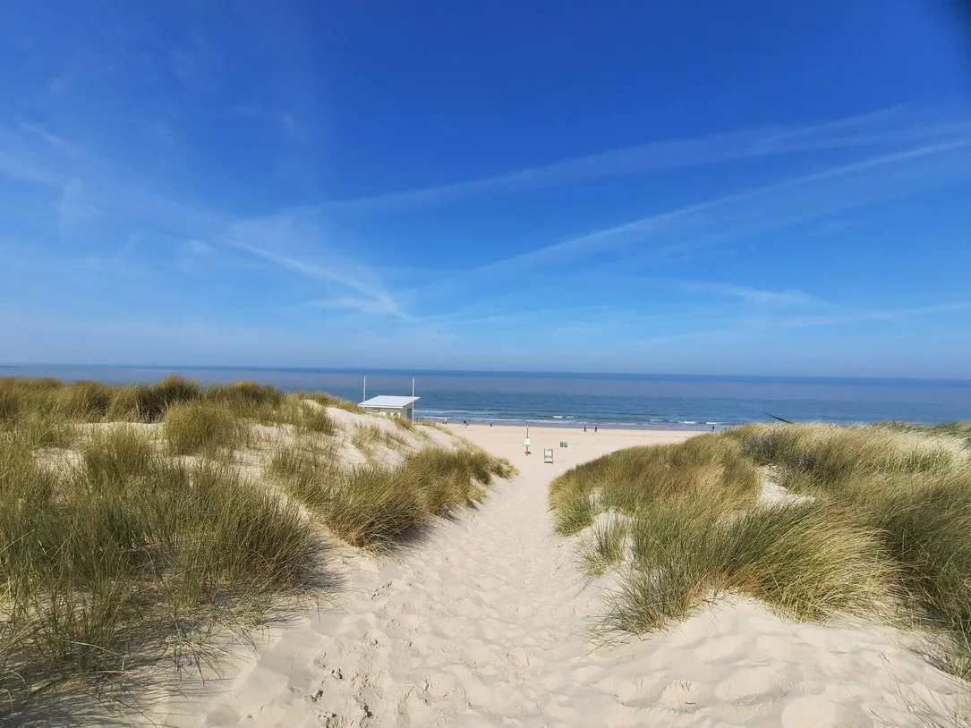 Dünenweg zum Nordseestrand bei Nieuwvliet-Bad